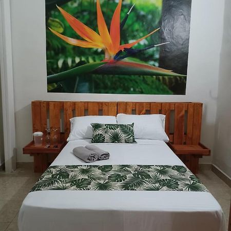 Hospedajes El Jardin إنفيغادو المظهر الخارجي الصورة