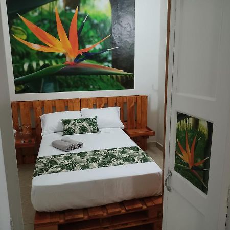 Hospedajes El Jardin إنفيغادو المظهر الخارجي الصورة