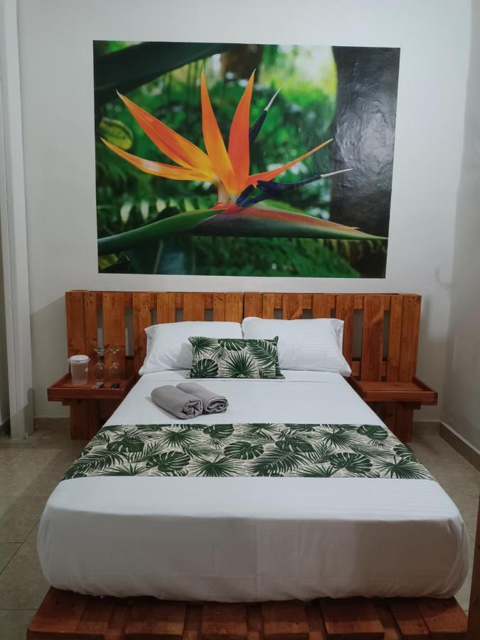 Hospedajes El Jardin إنفيغادو المظهر الخارجي الصورة