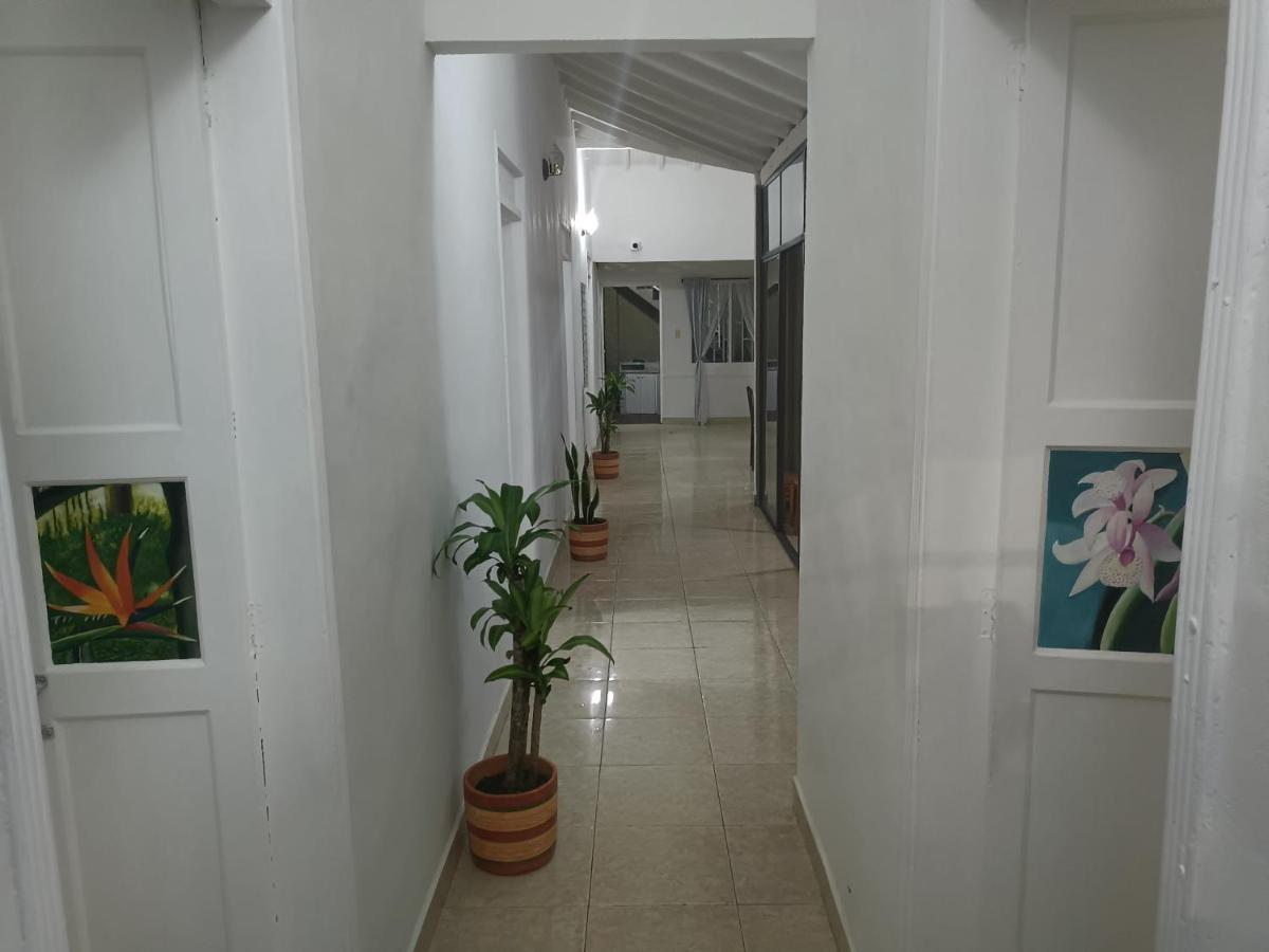 Hospedajes El Jardin إنفيغادو المظهر الخارجي الصورة