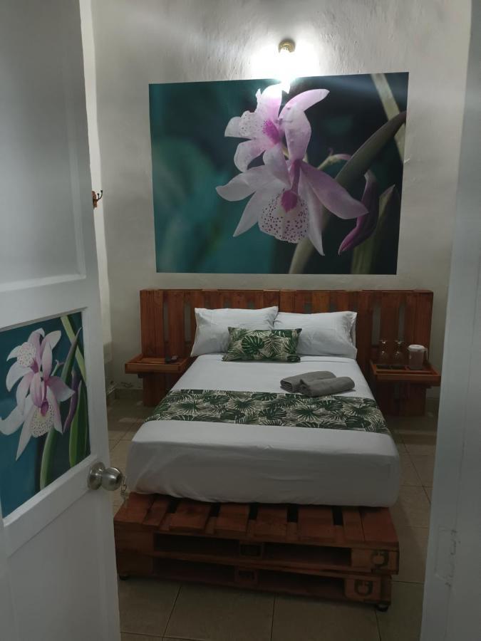 Hospedajes El Jardin إنفيغادو المظهر الخارجي الصورة